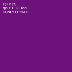#6F117A - Honey Flower Color Image